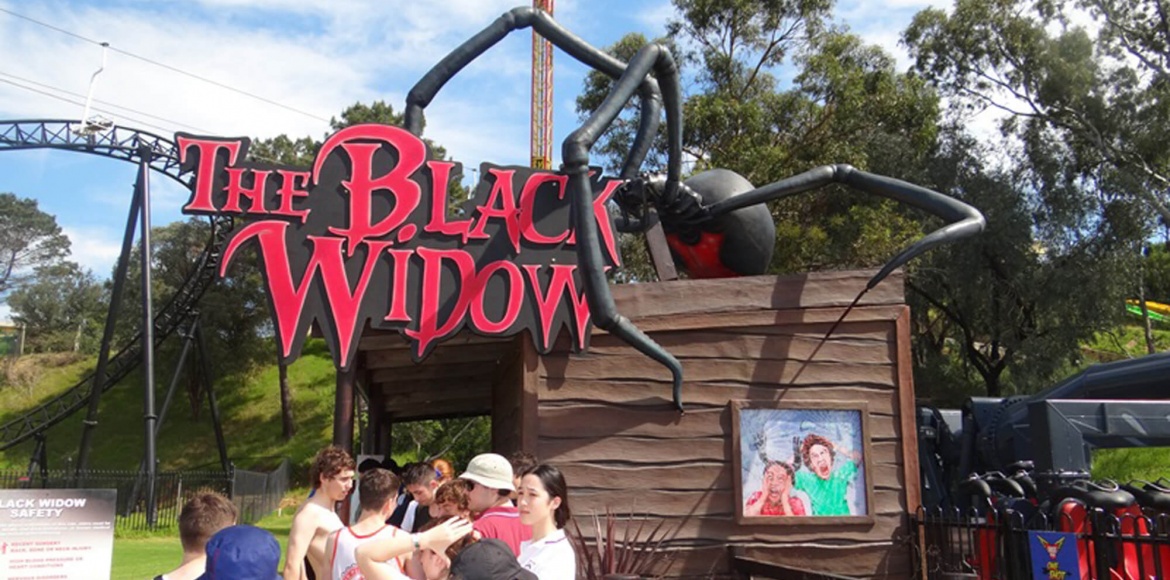 Photo of Black Widow