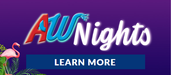 Website Blocks 564 x 250 aw nights