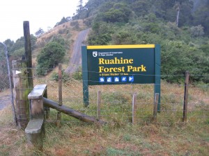 Ruahine Forest Park